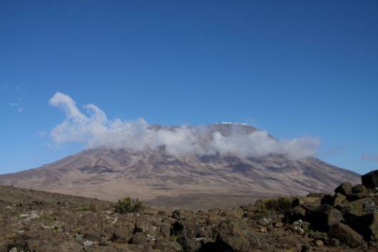 Guten morgen Kibo, ich komme