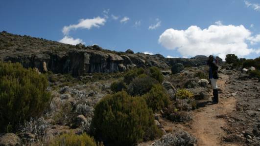 Aklimatisation an den Zebra Rocks