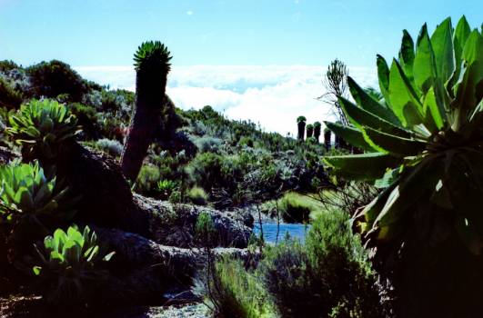 Höhenanpassung @3720müM