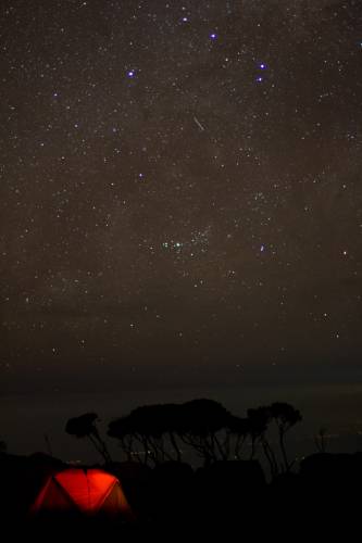 Sternschnuppen über dem Camp