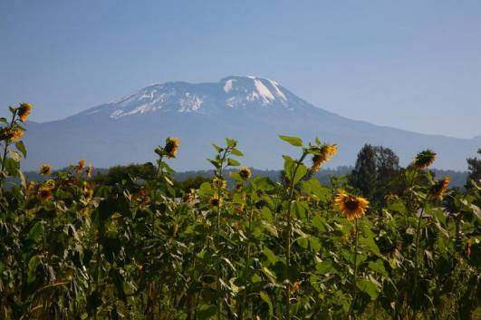 Auf dem Weg zum Lemosho Gate
