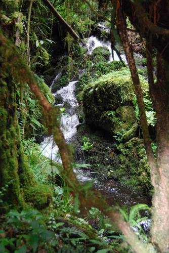 Auf dem Weg zur Mandara Hut (21.05.13)