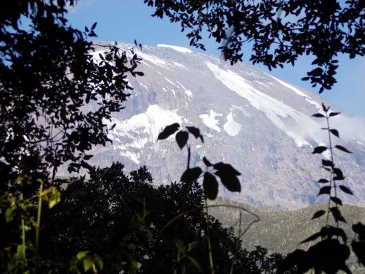 Ein erster Blick auf das Ziel!