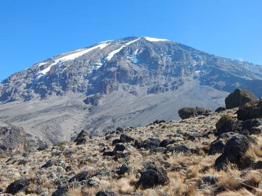 Richtung Barafu Camp