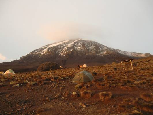 Kili - aus nächster Nähe