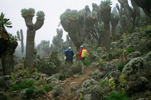 Abstieg zum Barranco Camp