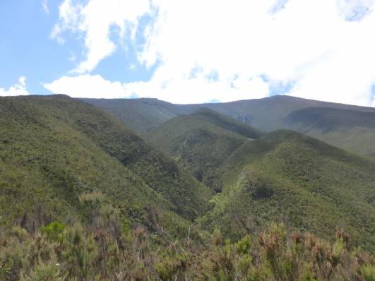 Tag 2 - vor Shira 1 Camp