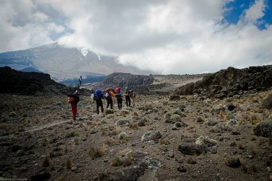 Auf dem Shira Plateau