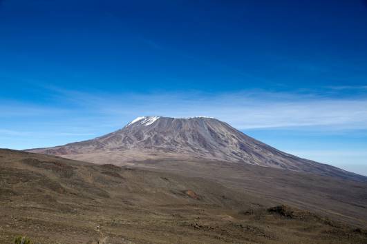 auf dem Sattel zw. Mawenzi u. Kibo