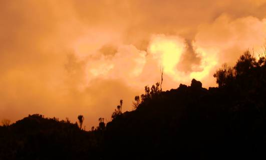 Auf dem Weg zum Mweka Camp