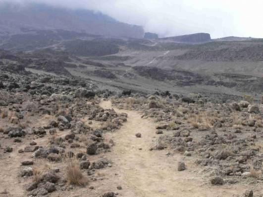 Vom Shira Camp2 zum Lava Tower