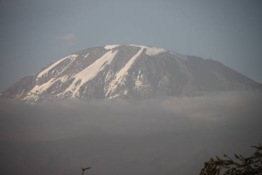 Kili - vom Hotel Spring Lands