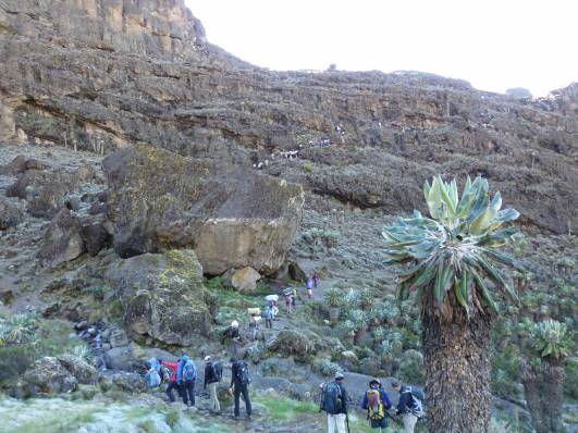 Tag 4 - Barranco Wall