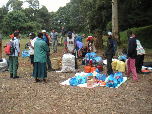 Träger mit Material