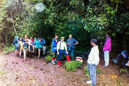 1.Tag: Rast im Regenwald