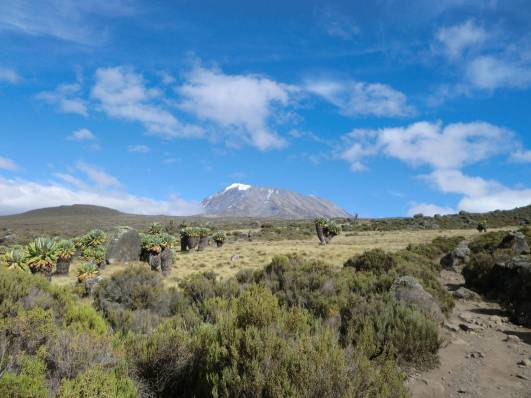 Unterwegs zur Kibo-Hütte
