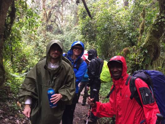 Regen im  .....wald  ;-)