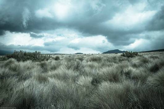 Kurz vor Shira Camp 1