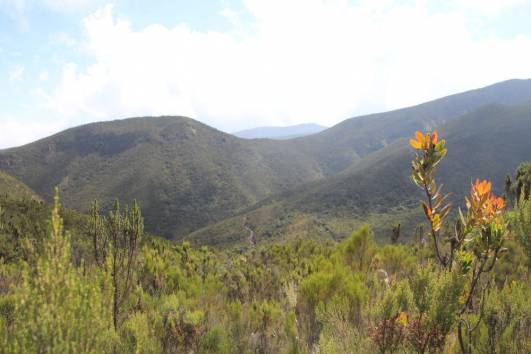 Auf den Rücken des Elefanten