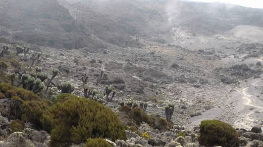 110904 Weg oberhalb Barranco Wall