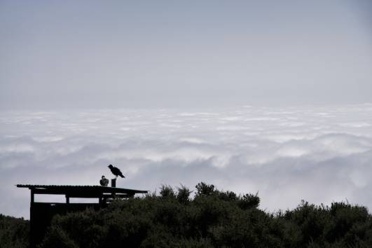 Jetzt wird der Ausblick spektakulär