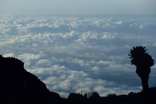 Wolkenmeer am Baranco Camp