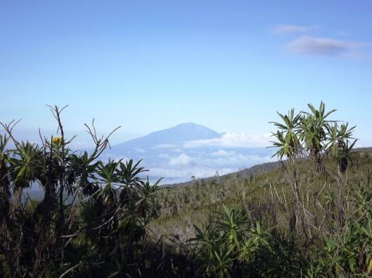 Mt. Meru vom Machame Camp