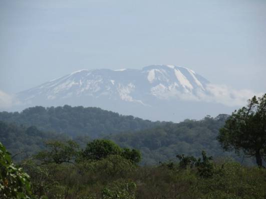 Kibo vom Gate des Arusha NP