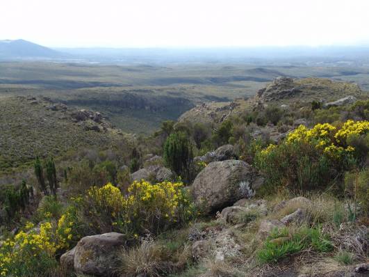 Der Trail nach Mandara