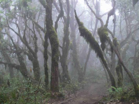 Komplett andere Natur