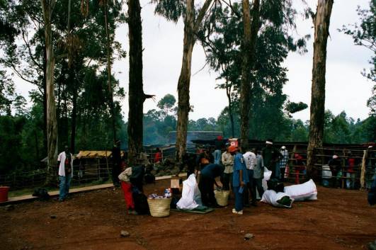 Gepäckaufteilung am Gate
