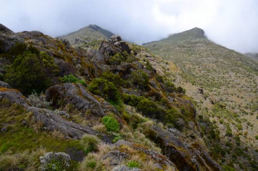 Auf dem Weg zum Shira Plateau