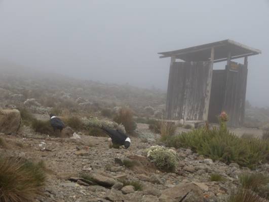 Düstere Stimmung im Camp.