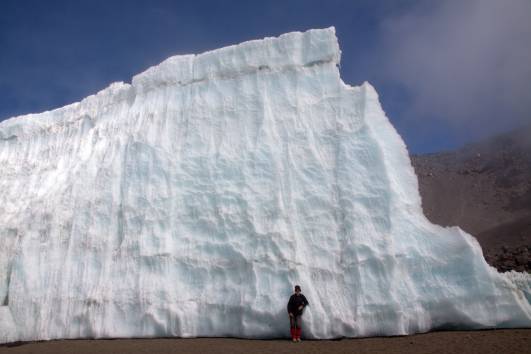kl. Furtwängler im Größenvergleich