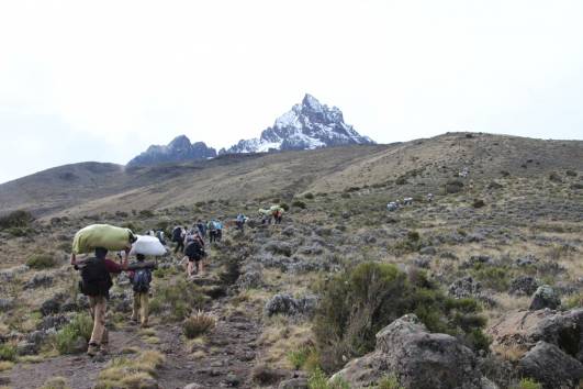 Weg Richtung Mawenzi