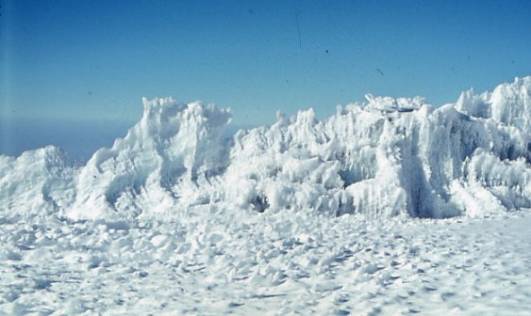 Ein Korallenriff aus Eis