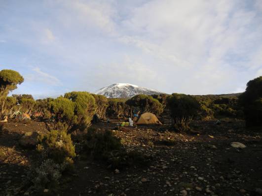 Kili - vom Millenium camp (ca. 3800m)