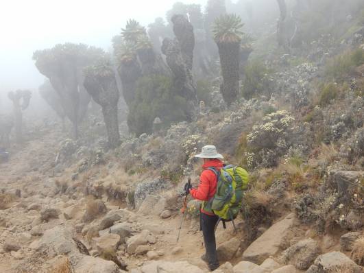 Abstieg zu Barranco Camp
