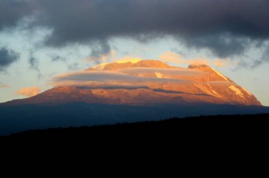 Der Kilimanjaro von Shira 1