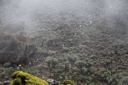 Die Karawane zieht weiter