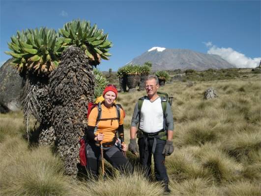 Kibo, Senecien und wir