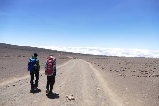 Weg zum Horombo Camp