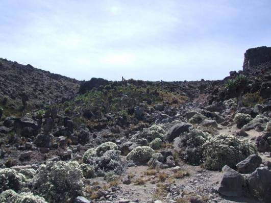 Endlich wieder grün...