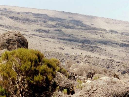 Der Trail zum Karanga Camp