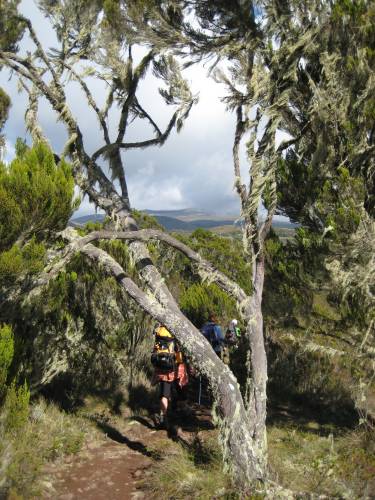 Die Moorlandzone beginnt