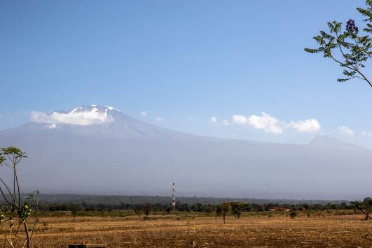 03 Kibo Range, Weg Machame