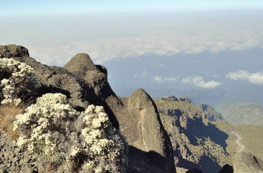 Auf dem Weg zum Karanga Camp
