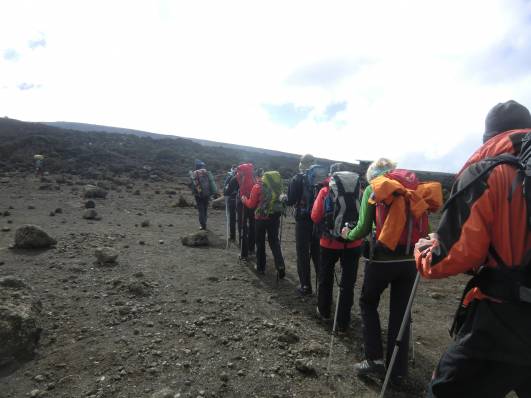 Kili - der lange Marsch