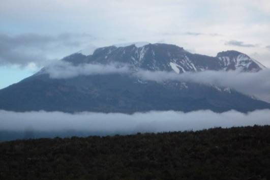 Der Kibo - auf der Lemosho Route