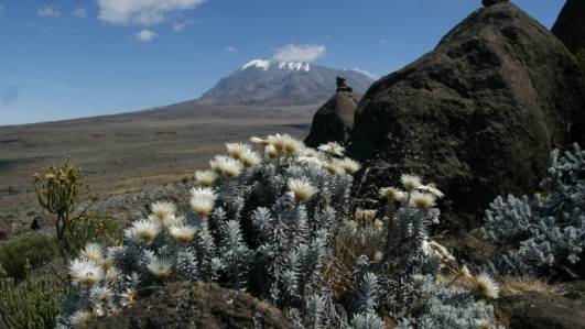 Unser Ziel für den nächsten Tag